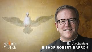 Bishop Barron on the Sacrament of Confirmation [upl. by Lib]