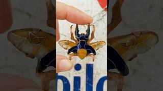 Making cloisonne enamel jewelry arttutorial howto art diy enamel handmade jewelery [upl. by Eloise]