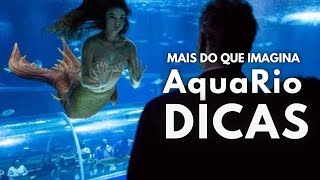 Tour VIRTUAL pelo AquaRio em 2022  Dicas Preços e Precauções [upl. by Yssor554]