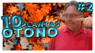 10 PLANTAS para tener en otoño🍁🌳 OTOÑO 2 [upl. by Spevek]