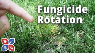 Lawn Fungicide Rotation Applications  Lawn Care Disease Control  DoMyOwncom [upl. by Razid268]