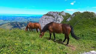 Hiking to Schäfler Switzerland [upl. by Ginder277]