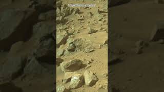 Perseverance Rover Sol 1302  Mars New 4k Video  Mars 4k Video  Mars In 4k  Mars shorts [upl. by Karolyn]