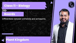 Differentiate between antheridia and archegonia [upl. by Gordon]