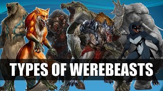 Types Of Werebeasts  Between Man And Beast [upl. by Aicnatsnoc]