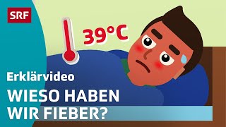 Fieber Darum erhöht sich unsere Temperatur – einfach erklärt  Kindervideos  SRF Kids [upl. by Hooge872]