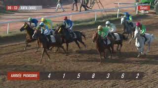 Live Hippodrome « CASABLANCA »  Courses du « 04112024 » [upl. by Engud]