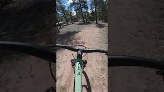 The Sounds of Buffalo Creek mtb colorado mountainbiking shorts [upl. by O'Rourke]