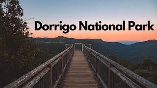 Dorrigo National Park Waterfalls NSW [upl. by Loss]