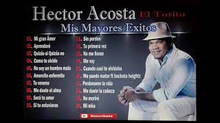 Hector Acosta Mis Mayores Exitos en Bachata [upl. by Josiah]