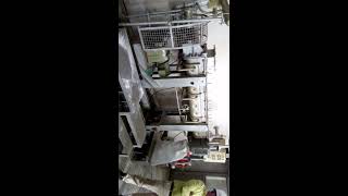 KILBURN PRAMOD PATIL PADDLE DRYER FOR DRYING OF STARCH [upl. by Aztilay941]