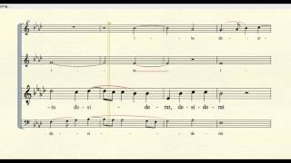 quotSicut Cervusquot by Palestrina tenor part [upl. by Hermine876]