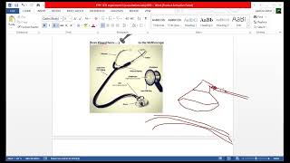 Pre lab Respiratory System [upl. by Seyler]