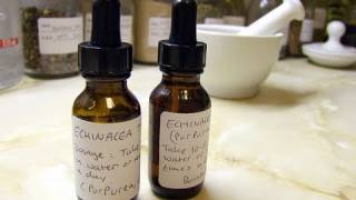 How To Make A Tincture  Herbalism Basics 3 [upl. by Annayd]