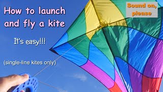 How to launch and fly a kite  a guide for new kitefliers [upl. by Haimrej]