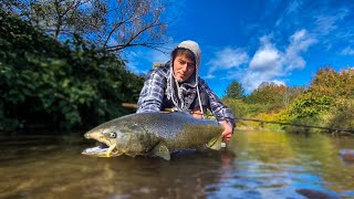 UNBELIEVABLE Catch out of TINY CREEK  Upstate New York Fishing How is this possible [upl. by Ahsinaw]