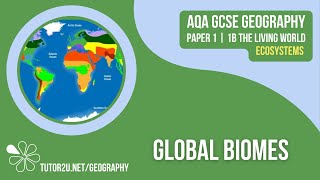 Global Biomes  AQA GCSE Geography  Ecosystems 4 [upl. by Whiteley]