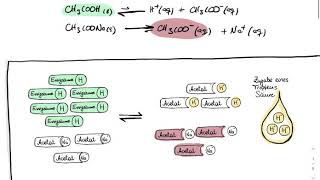 Chemische Puffersysteme [upl. by Netsruk]