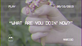 What Are You Doing Now Official Lyric Video [upl. by Carroll]