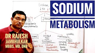 3 Sodium metabolism [upl. by Luapnoj]