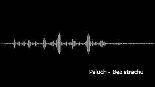 Paluch Bez strachu Rebassed 262931Hz [upl. by Abbott285]