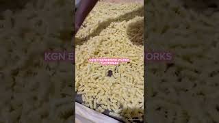 Marconi and paste making machine per hours 100 kg 7503108666ytshorts trending technology food [upl. by Aztinaj]