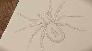 How To Make A Spider Drawing [upl. by Concettina73]