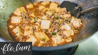 Easy Mapo Tofu  in 15 minutes 麻婆豆腐 [upl. by Devad659]