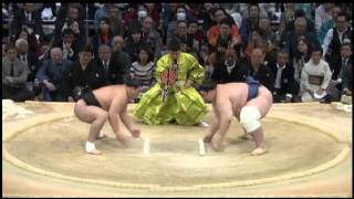 Day11 Harumafuji vs Aoiyama [upl. by Rodenhouse]