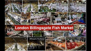 Londons Biggest Fish Market in Billingsgate Fish Market [upl. by Pinckney]