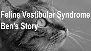 Feline Vestibular Syndrome  Bens Story [upl. by Alyakam]