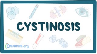 Cystinosis  causes symptoms diagnosis treatment pathology [upl. by Radbourne]