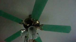 Montage Of Ceiling Fans In My House [upl. by Aidyl]