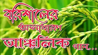 বরিশালের অসাধারণ আঞ্চলিক গান  Barisal Ar Osadharon Ancholik Gan  RAYAN RAKIB [upl. by Ayo2]