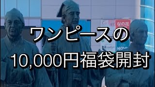 【ワンピース】の10000円福袋開封👍 [upl. by Auberon]