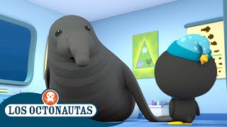 Los Octonautas Oficial En Español  El enorme elefante marino y la morsa jefe  Episodios Completos [upl. by Brucie713]