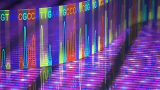 Paired End vs Single Run Sequencing [upl. by Enelcaj839]