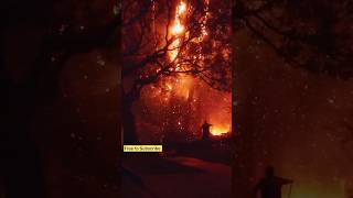 California Fires Today  LA FIRES California Fires Today updates [upl. by Deirdre574]