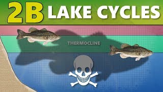 INTERMEDIATE GUIDE TO BASS FISHING 2B  Lake Cycles ThermoclineTurnover [upl. by Brine]