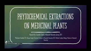 Phytochemical Extraction Methods Used On Medicinal Plants [upl. by Euqirdor161]