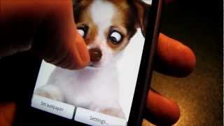 EyePuppy Live Wallpaper [upl. by Holds]