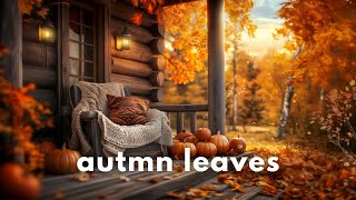 Cozy Autumn Porch Ambience 🍁ㅣCrunchy Leaves Rustling Wind CrowsㅣAutumn Ambience [upl. by Teagan]