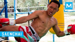 Saenchai Muay Thai Training  Muscle Madness [upl. by Neyu941]