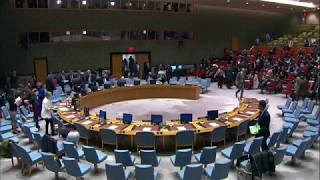 Security Council The situation in the Bolivarian Republic of Venezuela [upl. by Wat]