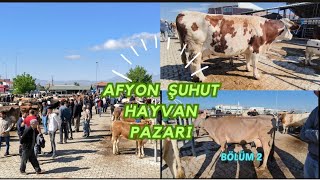 AFYON ŞUHUT HAYVAN PAZARI  KURBAN ÖNCESİ  BÖLÜM 2  25052024 [upl. by Salvucci221]