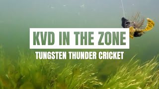 KVD In the Zone Tungsten Thunder Cricket [upl. by Alegnad]