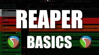 Changing Track Defaults in REAPER [upl. by Athalie]