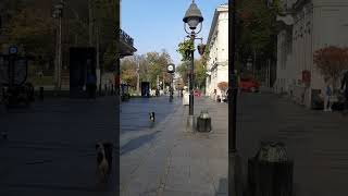 Knez Mihailova Beograd [upl. by Siurad]