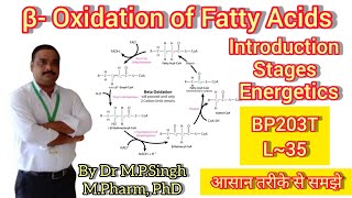 Beta Oxidation of Fatty Acids  Lipid Metabolism  Energetics  Biochemistry  BP203T  L35 [upl. by Morel]