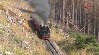 Bergfahrt mit der Harzer Schmalspurbahn zum Brocken [upl. by Yregram276]